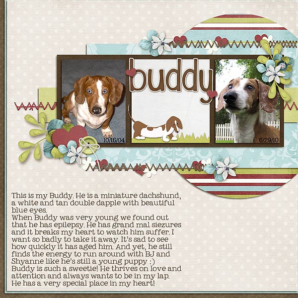 Buddy