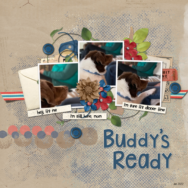 Buddy