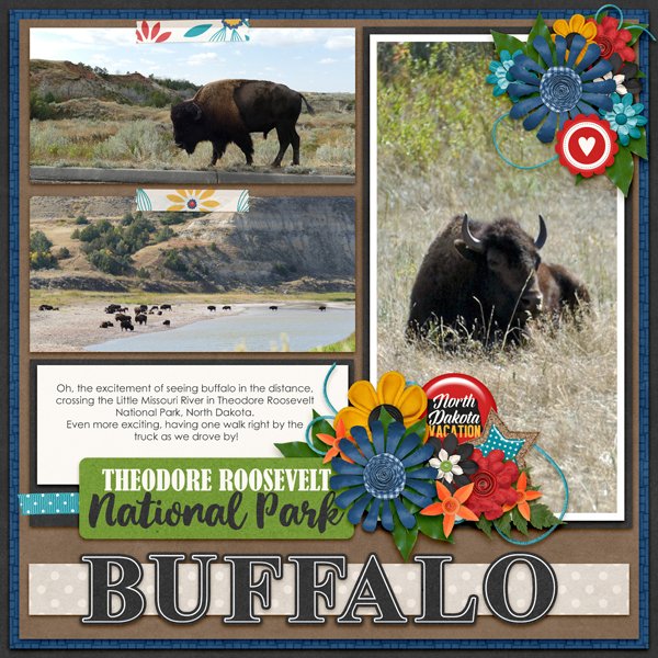 Buffalo 1
