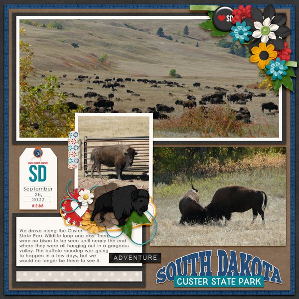 Buffalo 2