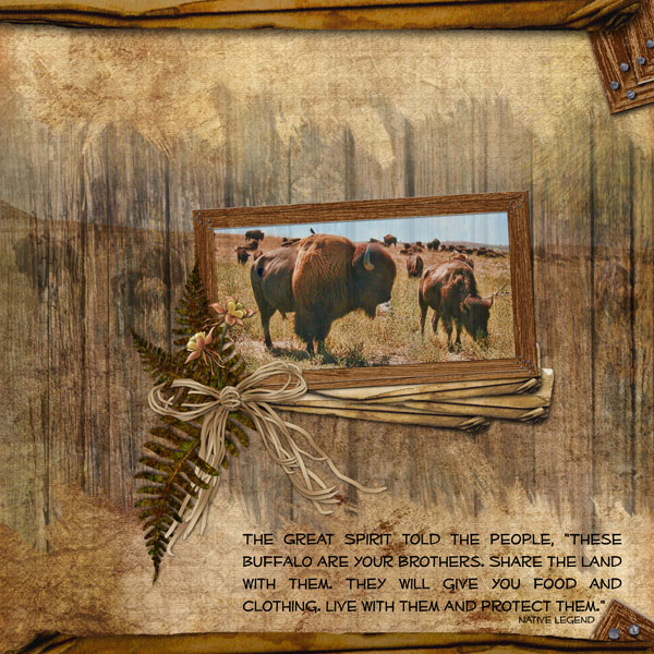 Buffalo Brothers