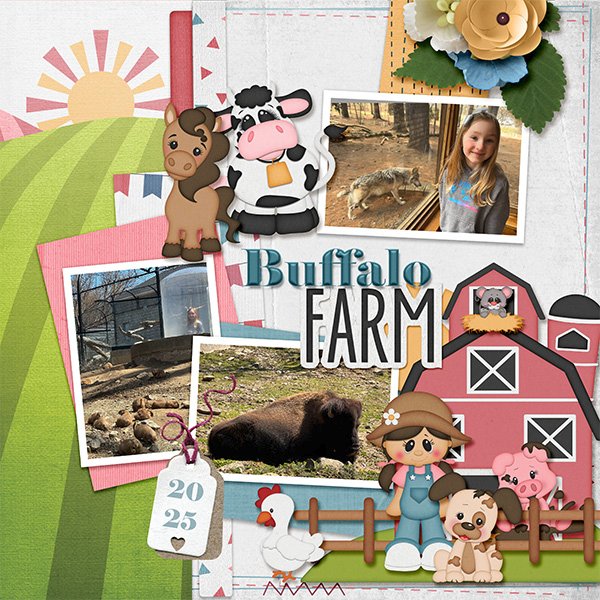 Buffalo Farm