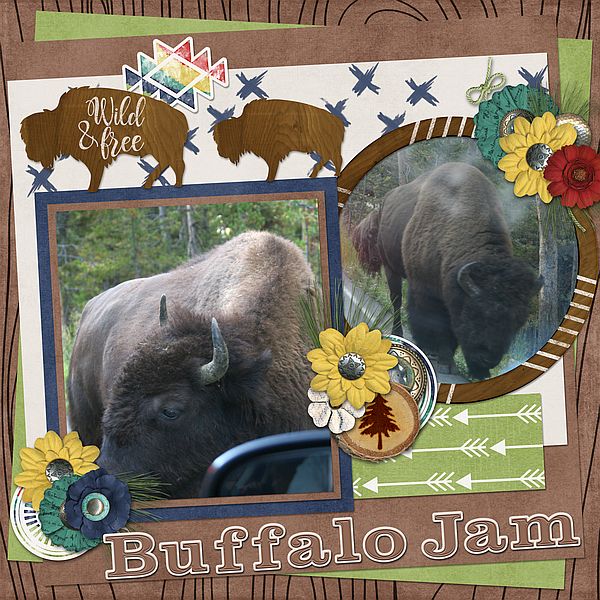 Buffalo Jam