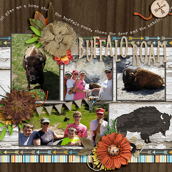 Buffalo Roam