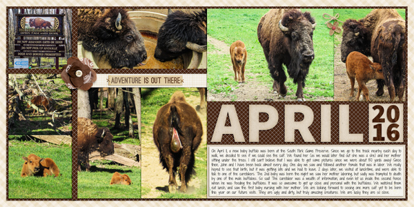 Buffalo