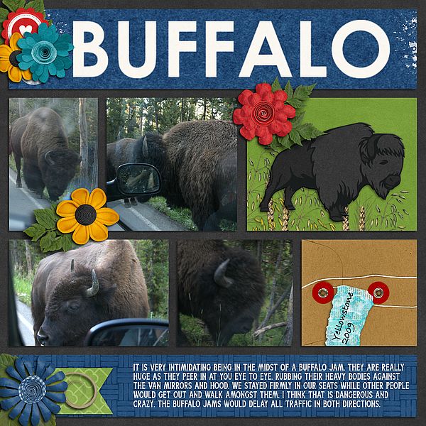 Buffalo