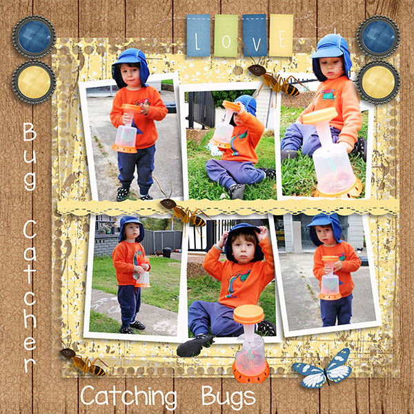 Bug Catcher