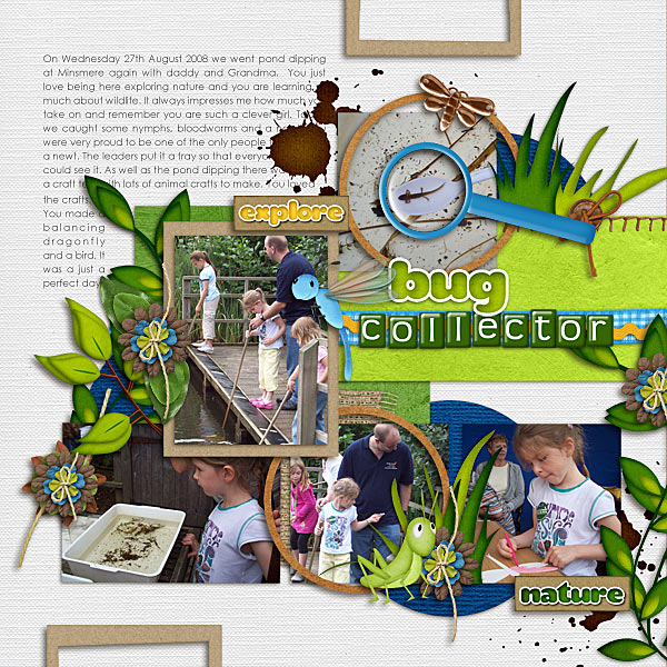 Bug Collector