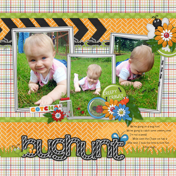 bug hunt