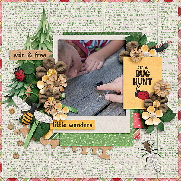 Bug Hunt