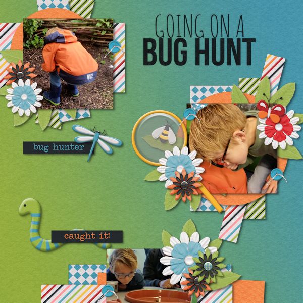 Bug Hunter