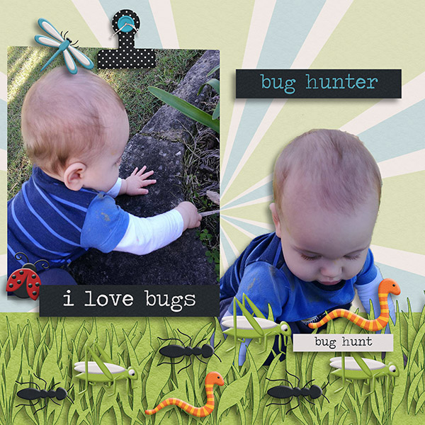 Bug Hunter