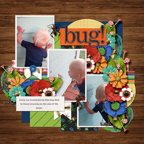 Bug!