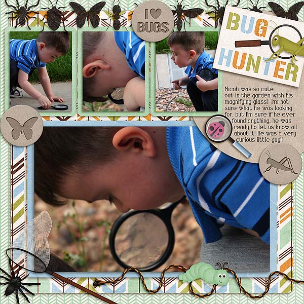 Bug_Hunter_cap_P2012Feb_rfw