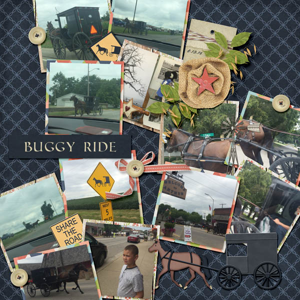 Buggy Ride