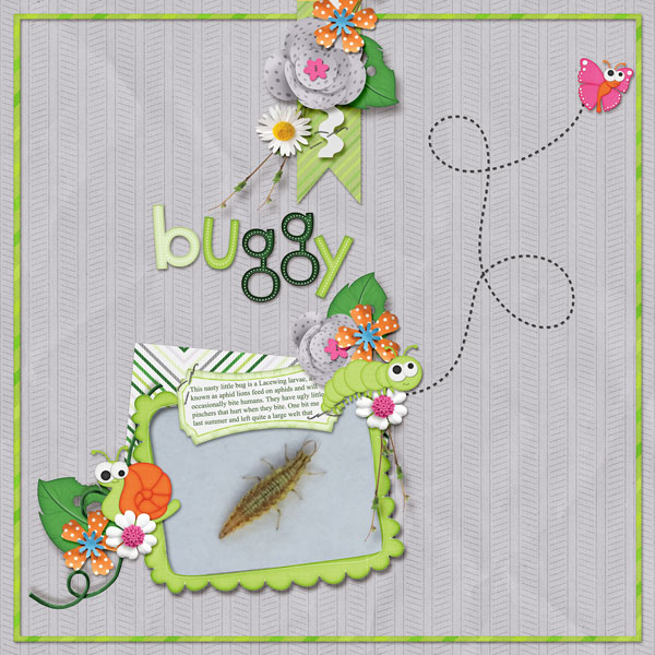 Buggy