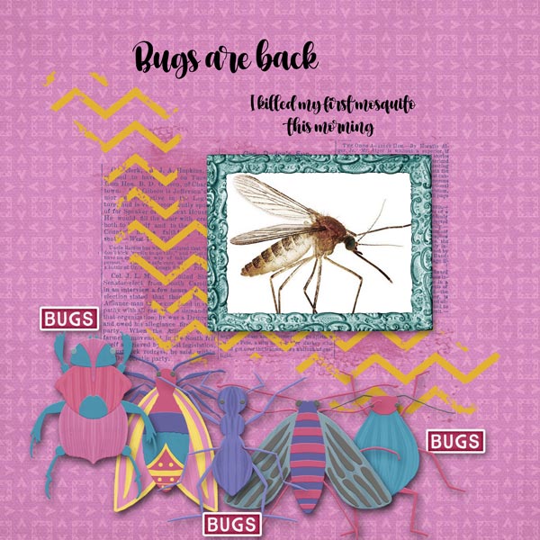 Bugs are Back