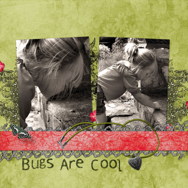 Bugs Are Cool