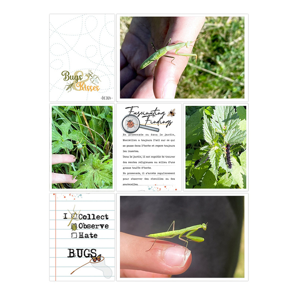 Bugs + kisses