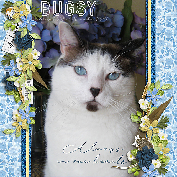 Bugsy - Always in Our Hearts