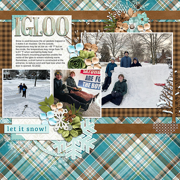 Build a Snow House