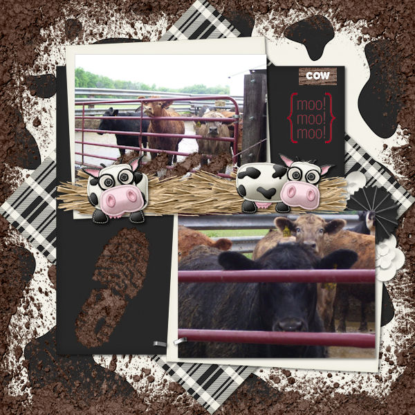 Bull Pen