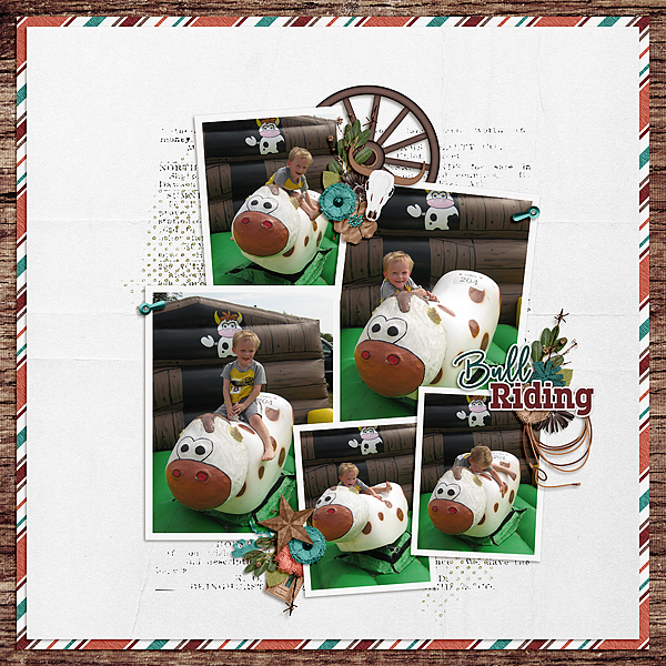 Bull Riding