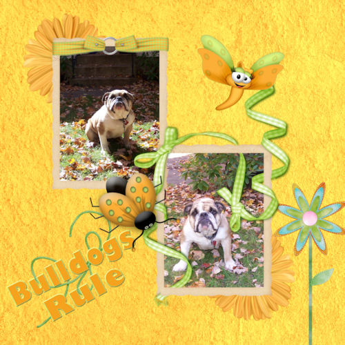 Bulldogs Rule