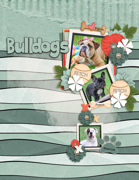 Bulldogs