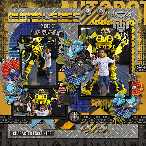 Bumblebee Photo Op