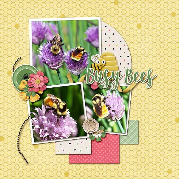 Bumblebees