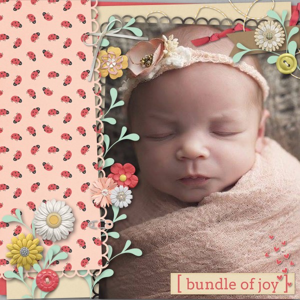 Bundle of Joy
