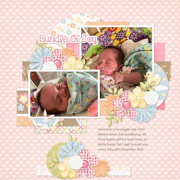 Bundle of Joy
