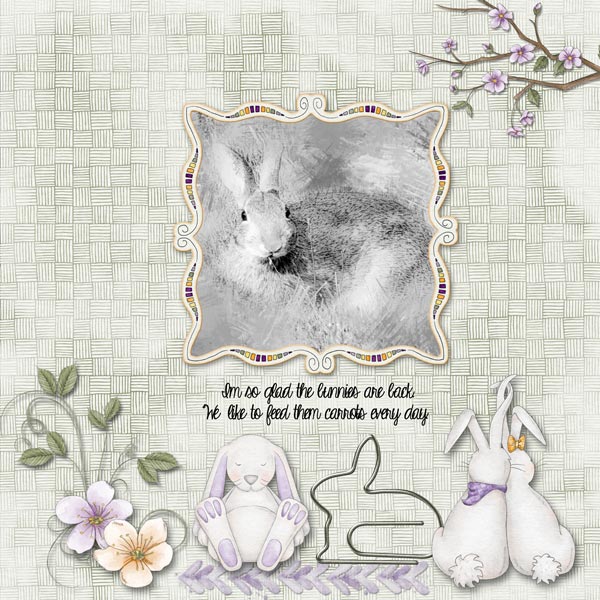 Bunnies Back