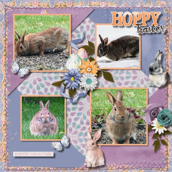 Bunnies Galore