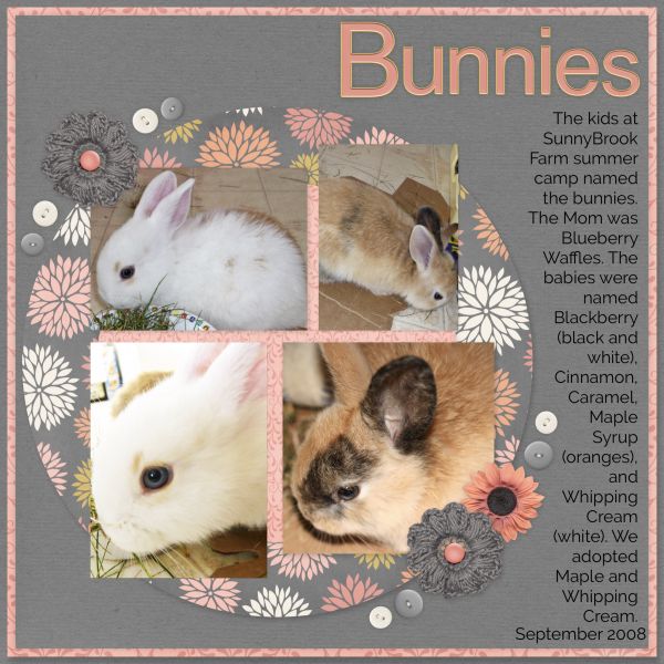 Bunnies