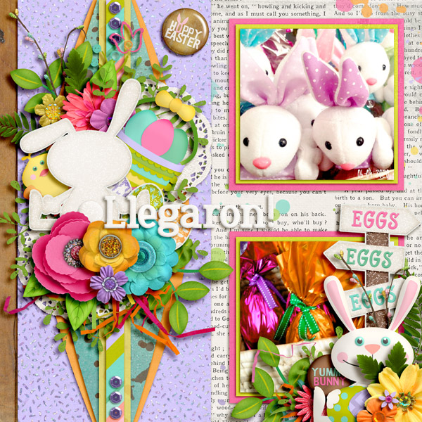 bunnies!!!