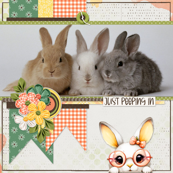 Bunnies