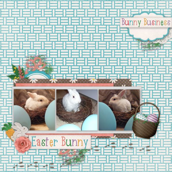 Bunny Business