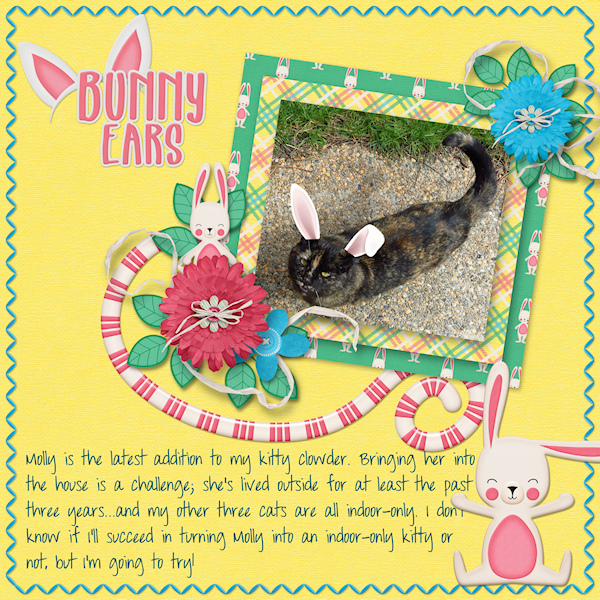 Bunny-Cat Molly!