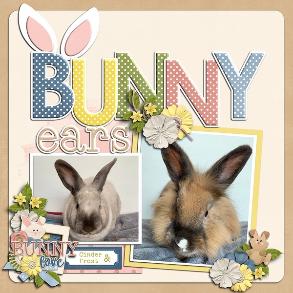 Bunny Ears