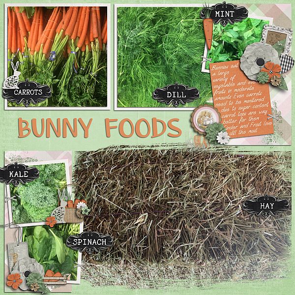 Bunny Food