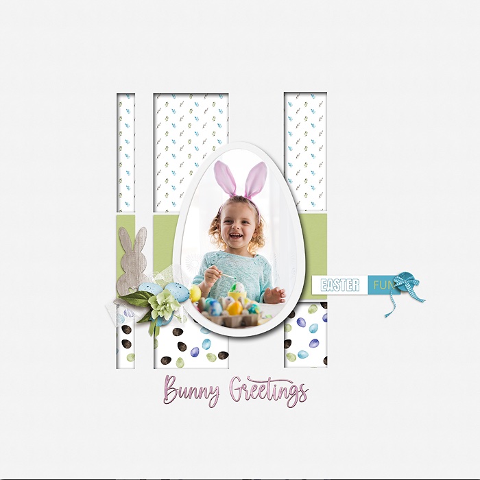 Bunny Greetings
