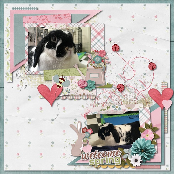 Bunny Love Welcom Spring