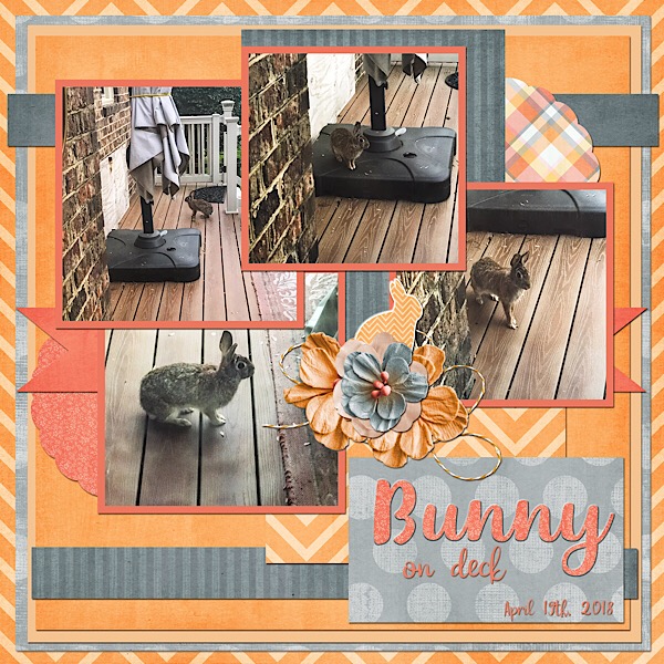 Bunny on Deck