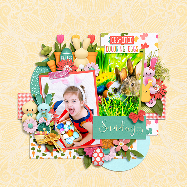 Bunny trai