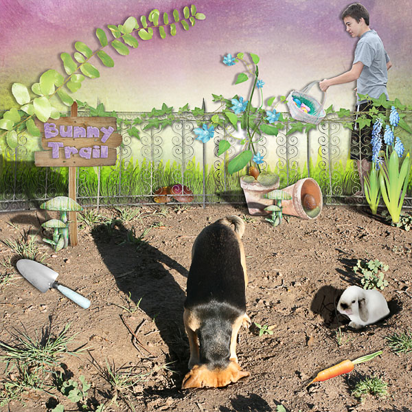 Bunny Trail