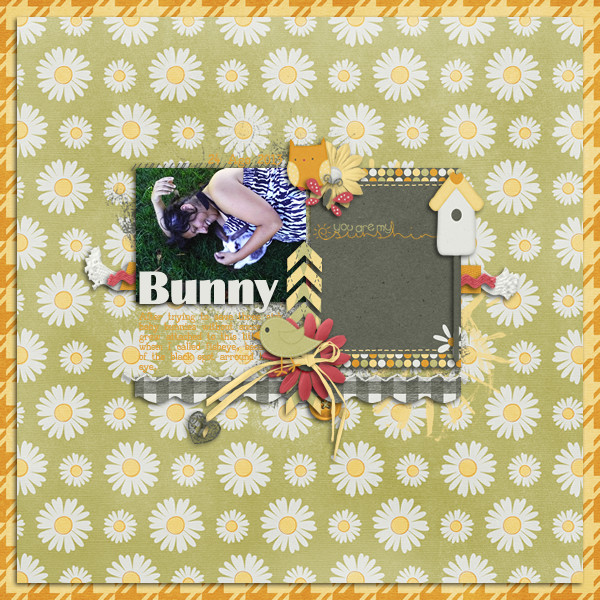 bunny