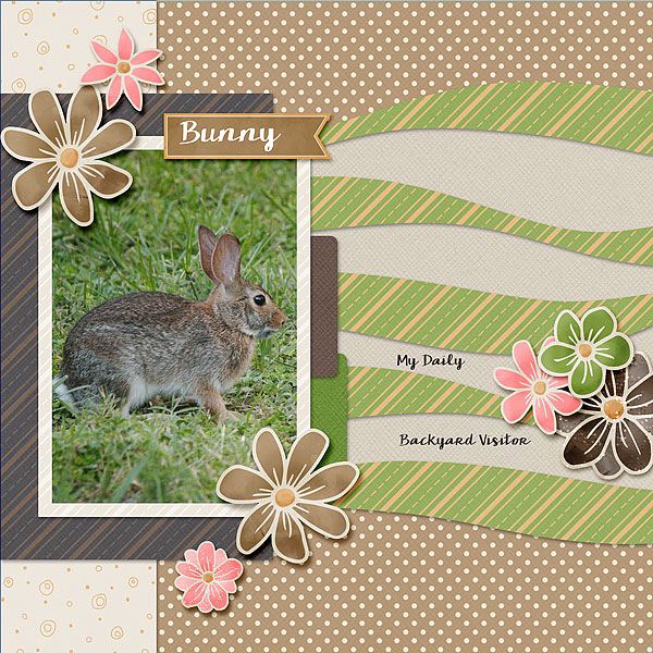 Bunny