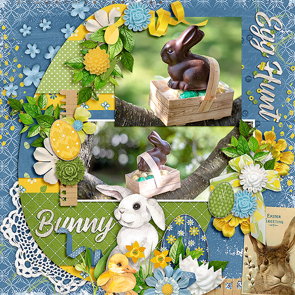 Bunny